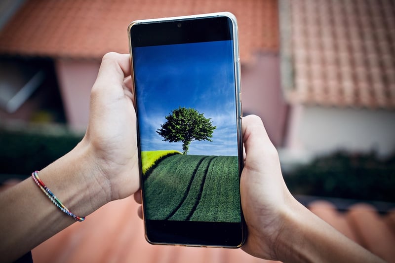Digital Detox